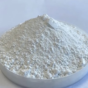 Dioxyde de titane anatase par procédé au sulfate China Fumin Longteng HLA110, sac de 25 kg - Product Image 5