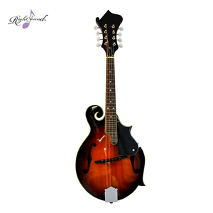 Groupe de Mandolin acoustique à 8 cordes, pour groupe de musique, commandes au soleil - Product Image 2
