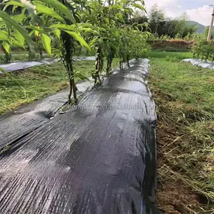 Tessuto geotessile nero diserbante barriera paesaggio tessuto terra copertura erbaccia controllo giardino tessuto barriera