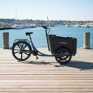Vélo <span class=keywords><strong>cargo</strong></span> familial néerlandais à 3 roues, moteur arrière 250W, cadre en acier, batterie lithium électrique 36V 15Ah, capacité de charge 150kg, porte-bagages arrière - Product Image 4