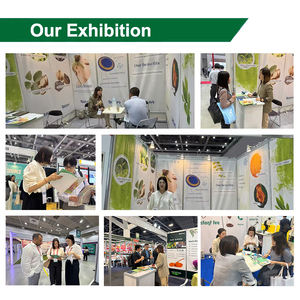 Fabriek Levering Bulk Chinese Thorowax Wortel Extract (Chai Hu)Bupleurum Extract Poeder Saikosaponines 10:1Bupleurum Extract Poeder - Product Image 5