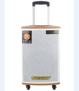 Hot Selling louds high Power Good Quality Outdoor Portable trolley sound system for party Stereo Active Stage BT Speaker