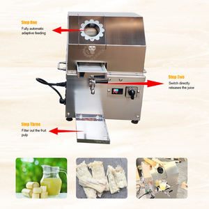 Machine à jus de canne à sucre commerciale de petite taille, directement de l'usine, avec certification CE pour la vente en gros mondiale - Product Image 5
