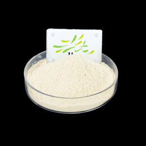 Nhân sâm chiết xuất từ rễ bột (cấp thực phẩm nước chiết xuất saponin) rắn nước giải khát 25kg trống bao bì - Product Image 2