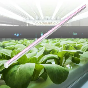 Fluor zieren der Pflanzen wachstums sämling Doppel ende t5 t8 4 ft 24w 42w 6400k LED wachsen Licht für Gemüse