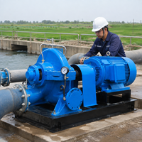 Pompe centrifuge horizontale à double aspiration à corps divisé, à grand débit et à économie d'énergie, pour l'irrigation agricole et les installations hydrauliques