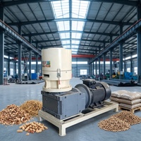 Máquina de Pellets de Biomasa de Aserrín y Paja con Motor de 22KW Controlado por PLC, Producción de 200-800kg/h, Garantía de Calidad Remota, Personalización
