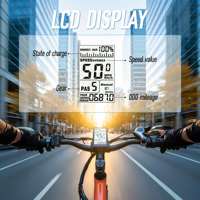 Vélo électrique Chamrider DM427 en gros avec pédales, moteur brushless 750W, batterie 48V 27Ah, freins à disque hydrauliques, autonomie 150 km