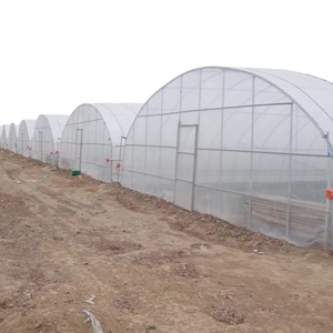 Copertura per Serra Monocampata 6x30m per Orticoltura, Serra a Tunnel Commerciale - Product Image 2