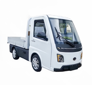 Tricycle électrique à faible consommation d'énergie et respectueux de l'environnement avec homologation CEE pour les routes non publiques - Product Image 1