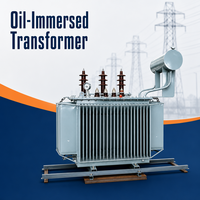 Transformateur de distribution triphasé immergé dans l'huile pour usage agricole et parcs industriels, 63KVA, 80KVA, 100KVA, 160KVA, 6kV, 10kV