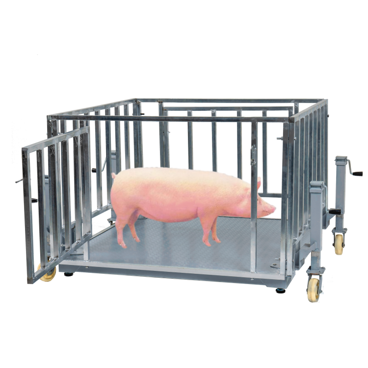 1T 500KG 800KG Animal Weighing Scale
