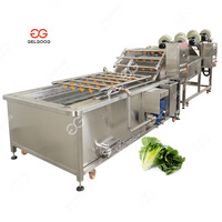 Industriële Vruchten Schoonmaken Verwerking Bosbes Aardbei Ananas Wasmachine Fruit Wasmachine Prijs