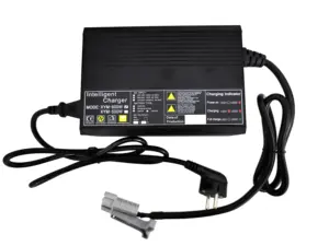24V 36V 48V 600W Lead Acid Lithium Li-ion LiFePO4 Battery Chargers For E-Forklift Industrial Club Car Charger 20A 15A 10A