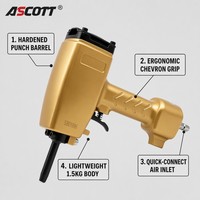 ASCOTT NP50-C2 Extracteur de clous pneumatique, décloucheur, pistolet à air comprimé pour le recyclage des palettes en bois 0,5-0,8 MPa