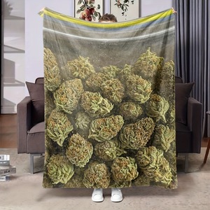 Couverture en flanelle imprimée tendance, couverture de sieste réversible, douillette et chaude pour chambre et salon, impression personnalisée, vente en gros - Product Image 4