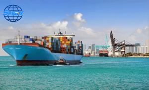 2025 nuovo agente di spedizione per soluzioni <span class=keywords><strong>India</strong></span> su misura con prodotti speciali, tra cui forniture farmaceutiche per il commercio - Product Image 6