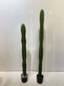 Plantas de <span class=keywords><strong>cactus</strong></span> de interior Bonsai Decoración del hogar Maceta de <span class=keywords><strong>cactus</strong></span> Planta verde artificial - Product Image 6