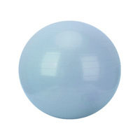 Vente en gros 55cm PVC souple Fitness Gym Ball pour les entraînements d'équilibre Logo personnalisé Yoga Ball Offre Spéciale équipement d'exercice