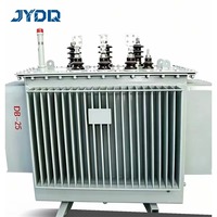 Transformateurs immergés dans l'huile S11/S13/S20/S22 peuvent être personnalisés comme des transformateurs haute tension pour des applications multi-scénarios
