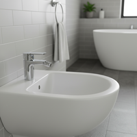 Nouveaux produits : Robinet de bidet thermostatique chromé à poser sur le plan, mitigeur de salle de bain