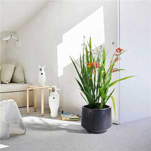 Juego de 3 macetas de cerámica hechas a mano con acabado negro mate y texturizado, de 15, 11 y 9 pulgadas de diámetro, para orquídeas y begonias. - Product Image 3