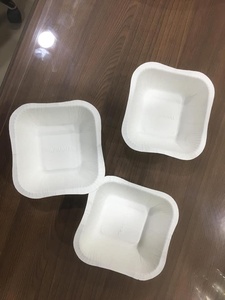 Tấm Giấy Dùng Một Lần Sâu/Bát Giấy Làm Giá Máy - Product Image 4