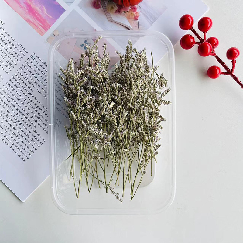 Erba amante colore primario 10g