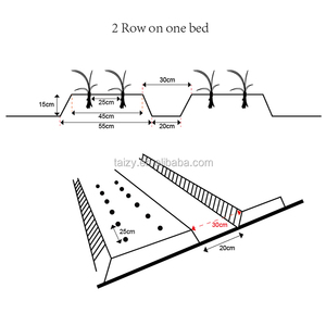 Machine à planter automatique de <span class=keywords><strong>semis</strong></span>, 2 rangs, poussée manuelle, planteuse de graines de légumes, d'oignons, planteuse de <span class=keywords><strong>semis</strong></span> - Product Image 4