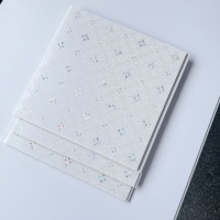 Vente flash : panneaux de plafond en PVC blanc moderne de 8,5 mm d'épaisseur, imperméables, ignifuges et résistants à l'humidité, pour hôpitaux et usage commercial
