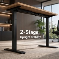 Bureau debout électrique à hauteur réglable, double moteur dissimulé, 2 niveaux, en fer, design contemporain, ergonomique, pour bureau à domicile