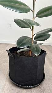 Bolsas de Cultivo para Jardinería de 5 Galones, Gruesas, No Tejidas, de 8x8 Pulgadas, con Asa de Cinta, Macetas con Logotipo Personalizado para Almacenamiento - Product Image 5