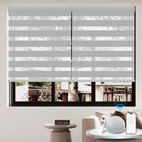 Persianas Enrollables Verticales Inteligentes Google Home, Integradas, Eléctricas, Impermeables, con Protección UV, Opacas, para Ventanas Francesas, Móviles