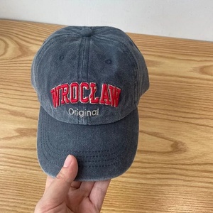 Gorra de Béisbol de Algodón Ajustable de Alta Calidad, Diseño Personalizado para Adultos, Impermeable, Deportiva, con Logotipo Bordado con Patrón de Frutas - Product Image 4