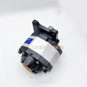 Luosheng Hydraulic Gear Pump CB FC80 350 Bar 1 Stage <b>Cast</b> Iron Electric Rotary Pump - Product Image 3
