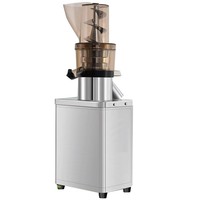Hete verkoop commerciële fruitpers extractiemachine appel sinaasappel peer sapmachine diverse modellen 300w-500w-1200w-3000w