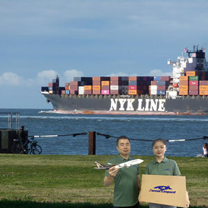 A buon mercato servizi di carico aereo/marittimo tariffe di spedizione FBA spedizioniere dalla cina agli USA/europa/agente di logistica in tutto il mondo - Product Image 3