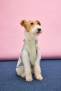 Gilet traspirante per animali domestici, maglietta leggera per cani, per la primavera e l'estate, per cani di piccola taglia, in nylon, poliestere, rete, impermeabile, a prova di insetti e sole - Product Image 3