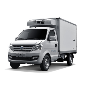 Camionnette électrique compacte DFSK d'occasion, modèle EC31 2023, 300 km par charge, avec caisse réfrigérée/cargo/plat - Product Image 1