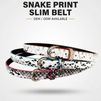 Ceinture en cuir imprimé peau de serpent pour femme, ceinture de taille tendance à motif python avec boucle argentée