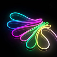 Tira de neón LED RGBIC direccionable de 24V, programable digitalmente, de silicona, para bares, discotecas, escenarios, luz de cuerda de color de ensueño