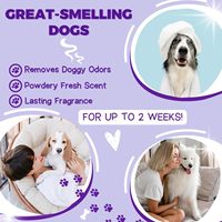 Shampooing et après-shampooing 2-en-1 premium pour chiens et chats, marque privée, formule végétale, pour un pelage brillant et doux, soin et toilettage.