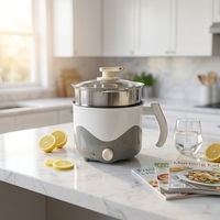 Mini-casserole électrique multifonctionnelle 600W en acier inoxydable avec contrôle mécanique de la température pour 1-2 personnes, idéale pour dortoir, maison et voyage