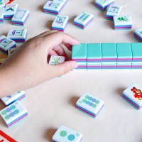 Jeu de Mahjong Américain Moderne de Luxe Personnalisé 160 Pièces – Oeil de Soleil, Papillon, Oiseau, Floral, Joker – en Acrylique pour Famille et Club