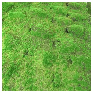 Mur en mousse artificielle en plastique multi-tailles, tapis vert décoratif, <span class=keywords><strong>mini</strong></span> <span class=keywords><strong>jardin</strong></span> paysager intérieur extérieur - Product Image 3