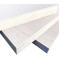Papan Kayu Birch Komersial Merek Senjia Produsen Cina 18mm Ramah Lingkungan Standar E0 Desain Industrial Kelas Satu untuk Interior