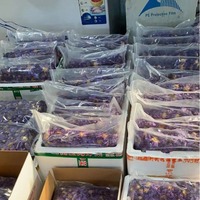 Tisane séchée au lotus bleu biologique fraîchement traitée en vrac pour un plaisir quotidien et des moments de détente