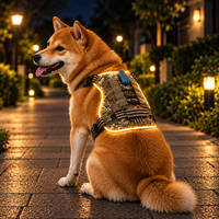 Harnais pour animaux de compagnie Qcool à marque privée, LED, alimenté par batterie, éclairage lumineux sur les bords, bande réfléchissante en nylon, promenade nocturne, boucle de sécurité