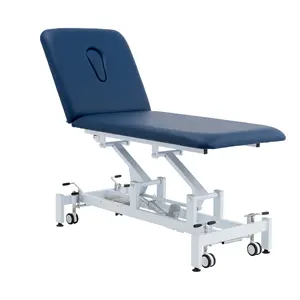 Top sales Premium Physiotherapy clinical spa beauty adjustable bed two sections electric examination couch treatment table
