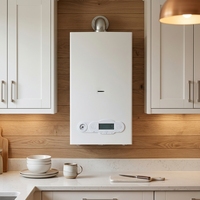 Chaudière murale à gaz à panneau blanc de qualité supérieure pour l'installation intérieure de maisons modernes
